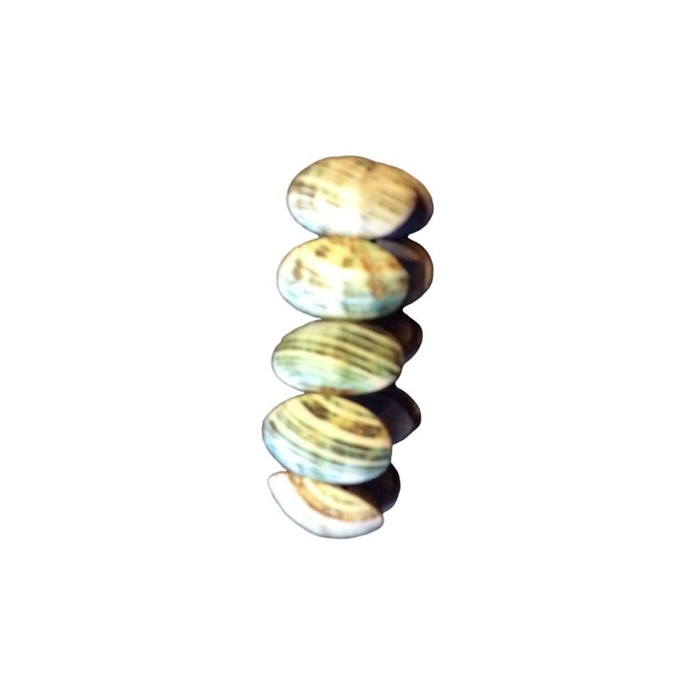 Shell on Wood Elastic Stretch Bracelet One Size